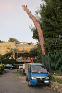 Copia di dicembre_2014 666